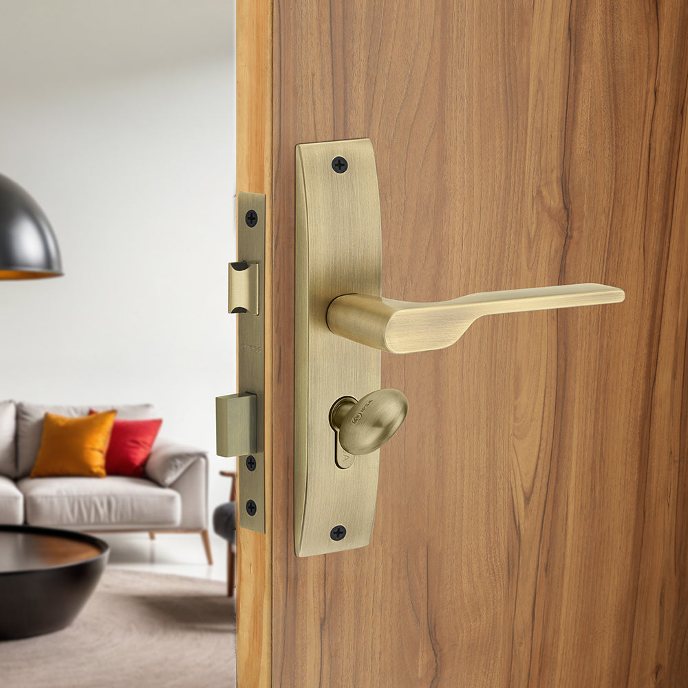 IPSA Orange Iris Handle Series on 8" Plate CYS Lockset with 60mm Coin and Knob - MAB Finish